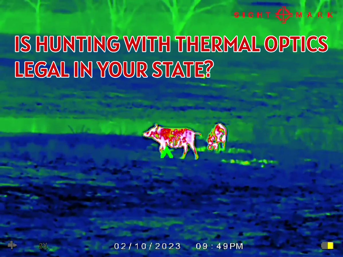 Can You Hunt Deer With Thermal Scope? Legalities and Tips