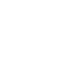 First focal plane